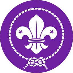 World Scout